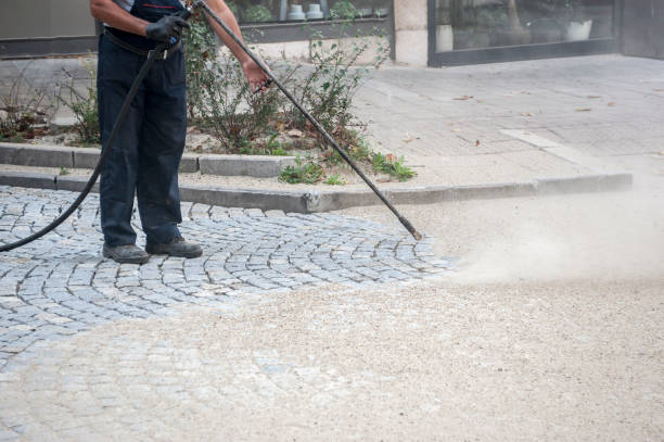 Animal Enclosure Cleaning in Circle D Kc Estates, TX